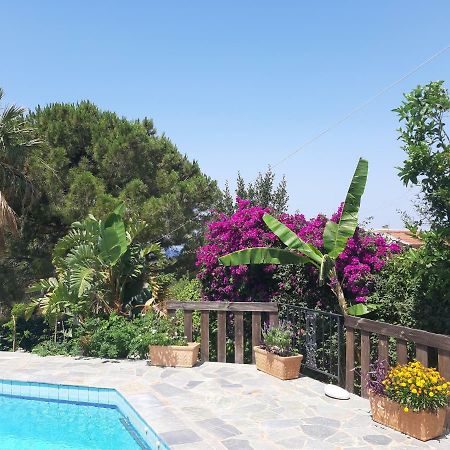 Villa Suites Lagonisi Luxury エクステリア 写真
