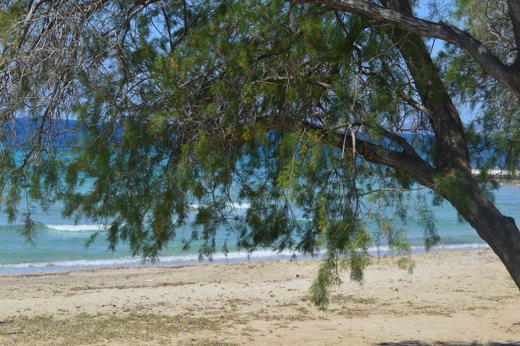 Villa Suites Lagonisi Luxury エクステリア 写真