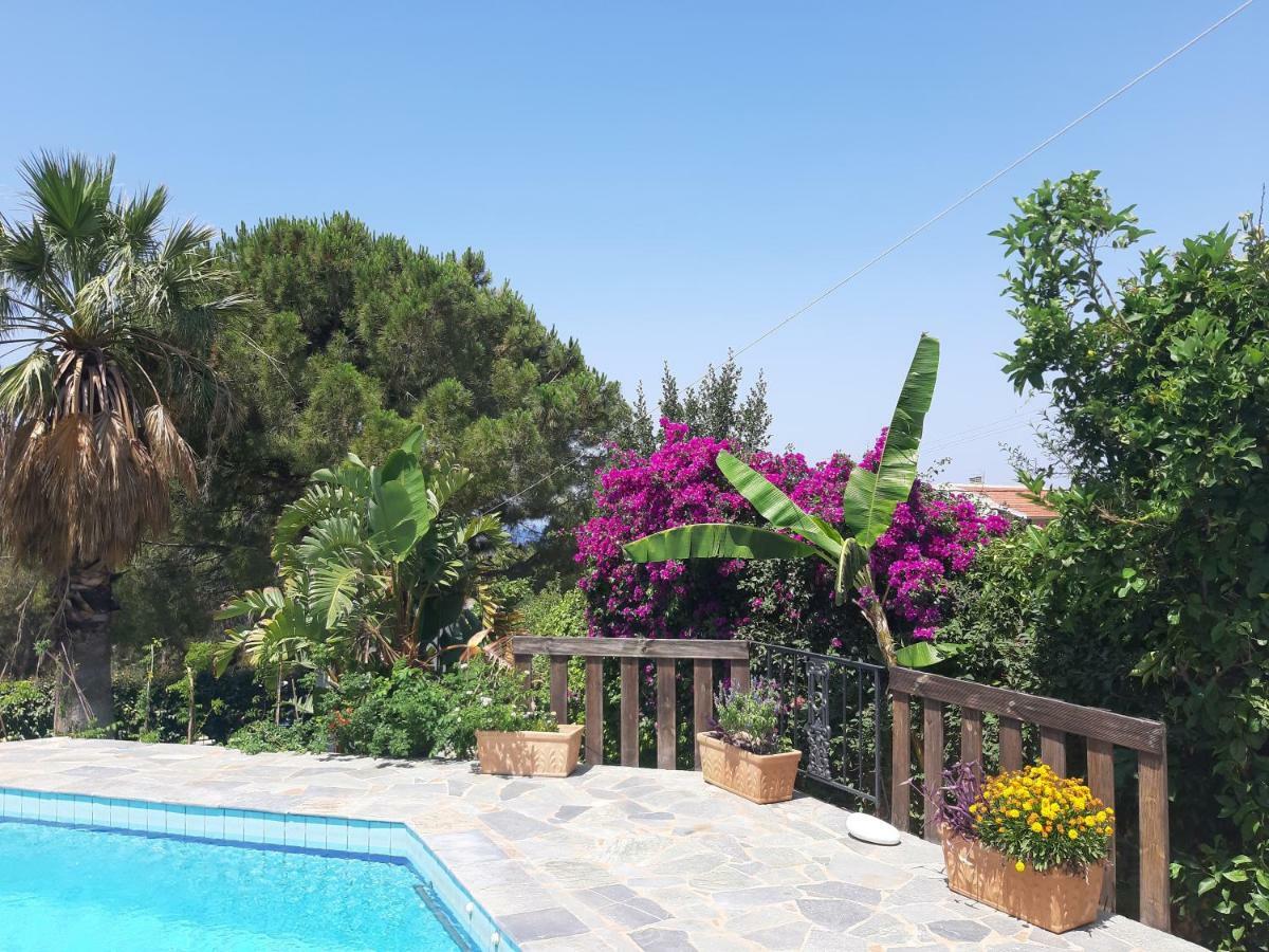Villa Suites Lagonisi Luxury エクステリア 写真